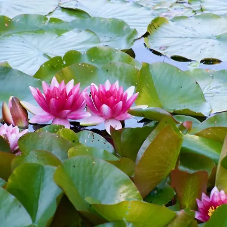 Vango Village Prázdninový areál *