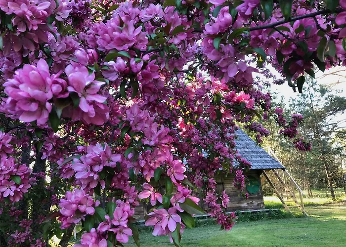 Vango Village פארק נופש *